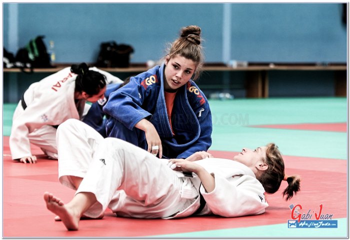 STAGE JUDO MADRID 14 00042